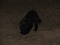 20100206 260.JPG